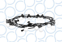 Festoon 1 WEB