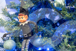 Elf in Christmas Tree